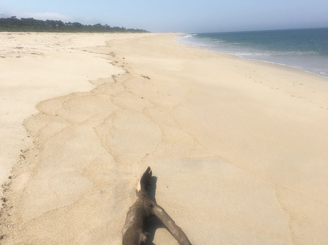 Foz do Minho Beach景点图片