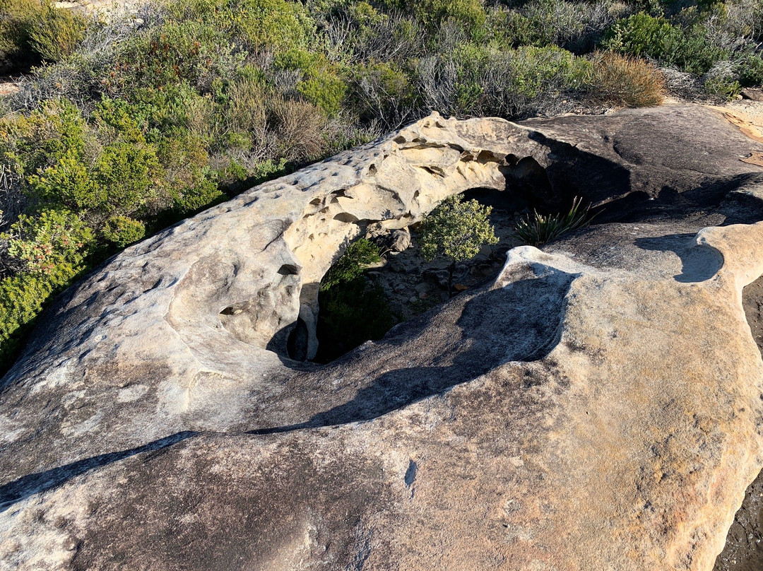 Coast Walk-Royal National Park必去景点