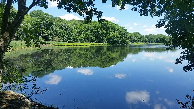 Cutler Park-尼达姆必去景点