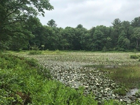 Borderland State Park-Easton必去景点