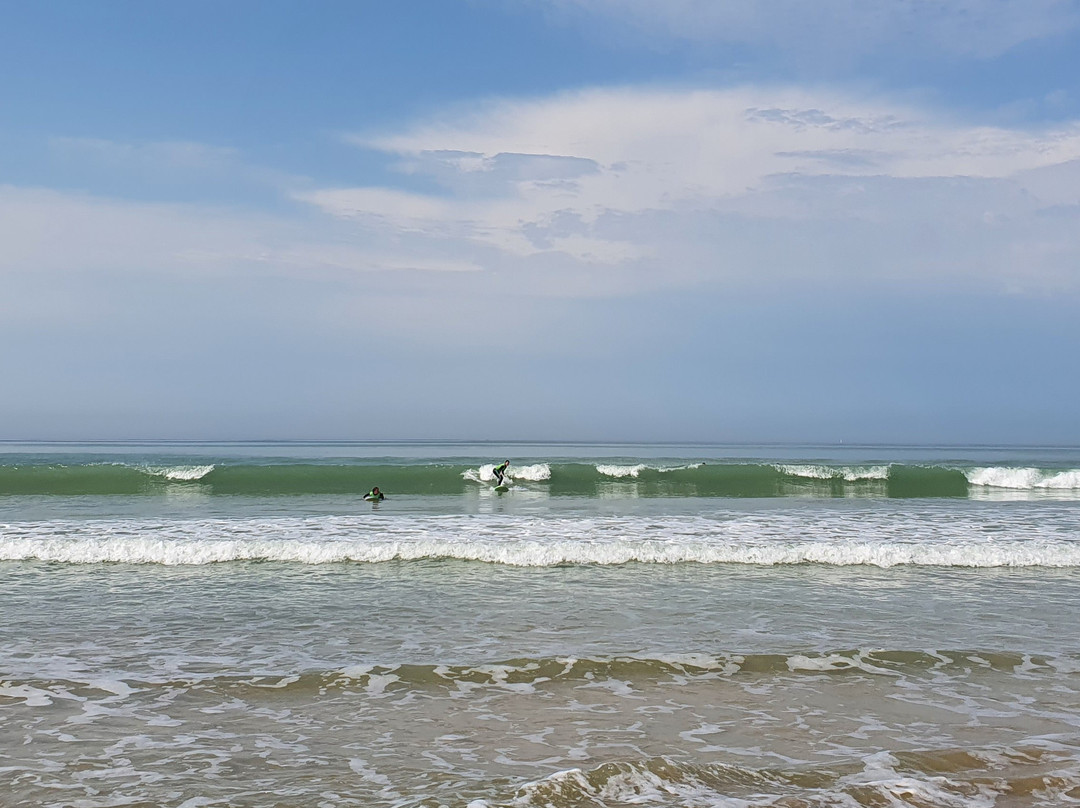 Surf'in Ré景点图片
