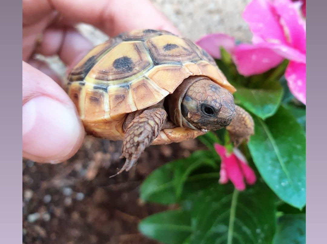 B&B Brezza Marina主图