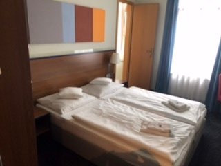 Hotel Furstenhof am Bauhaus主图