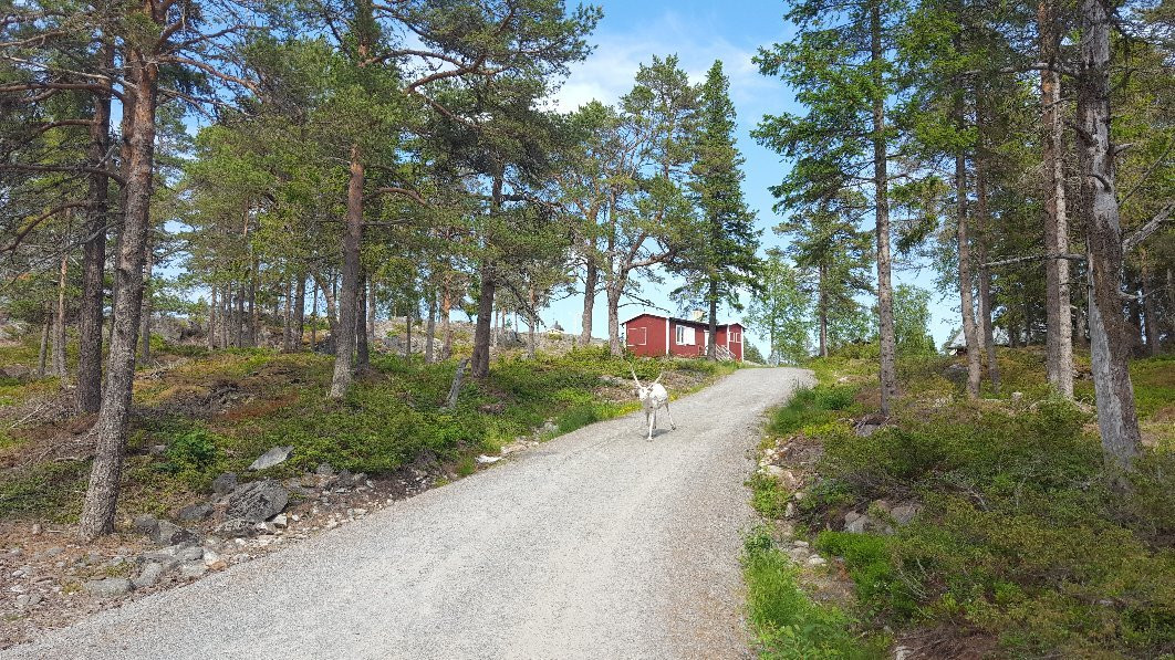 Bjuroklubbs Naturreservat-Lovanger必去景点