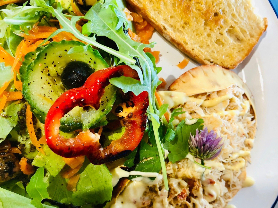 Northney Marina-海灵岛必去景点