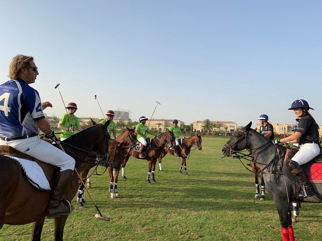 Dubai Polo & Equestrian Club景点图片