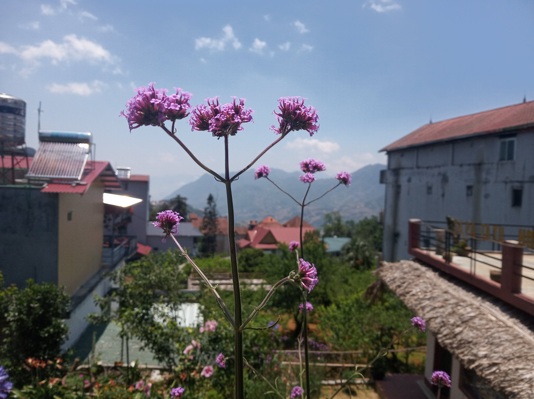 Sapa Tatu Homestay主图