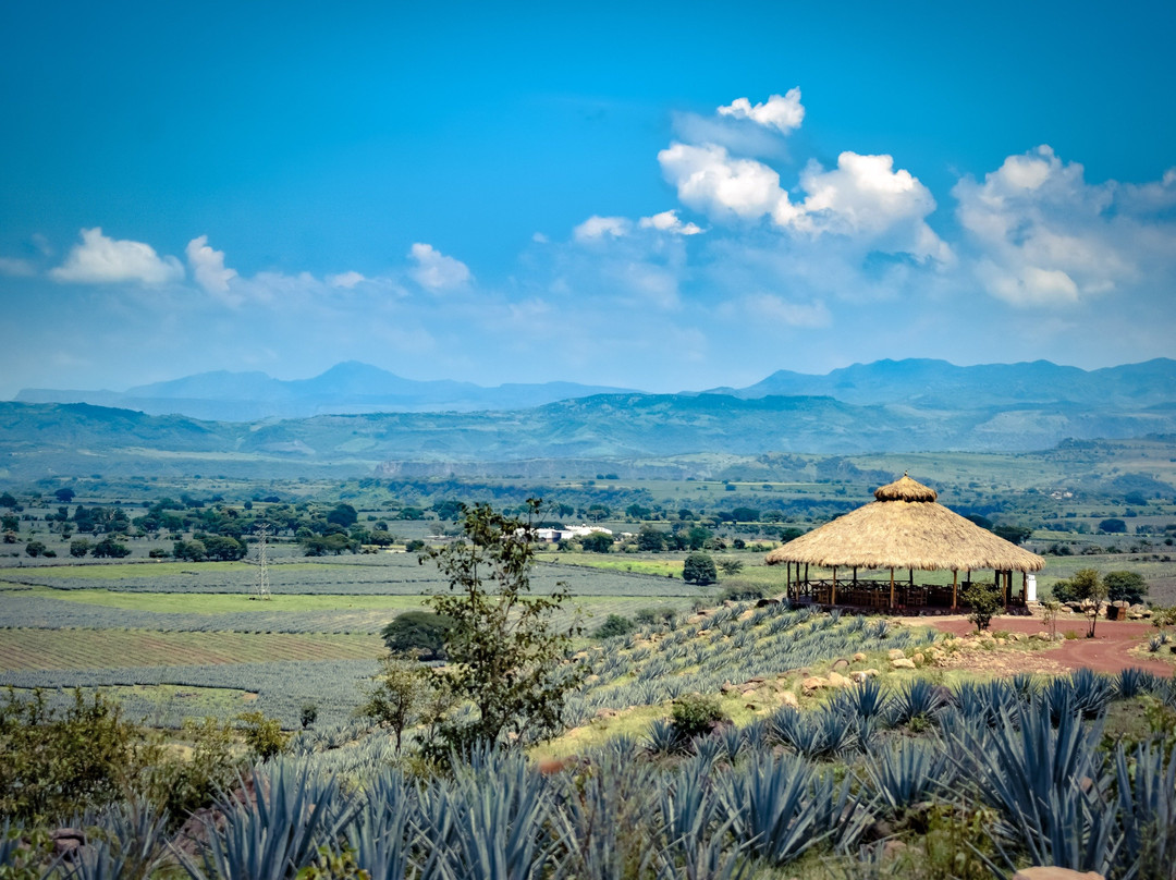 Hacienda de Oro SA de CV-Amatitan必去景点