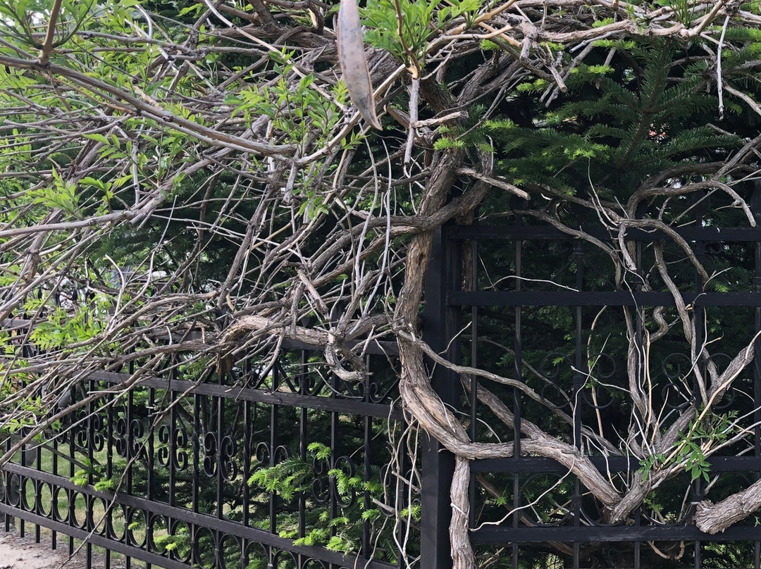 Φύση και Πολιτισμός  /  Wildlife and Culture景点图片