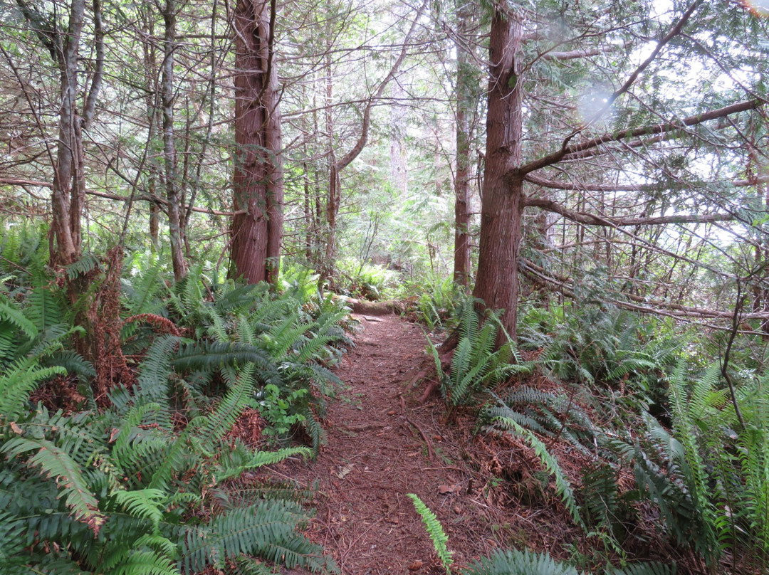 Onward Point Trail景点图片