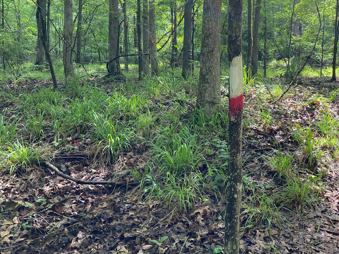 Hamburg State Park-Mitchell必去景点