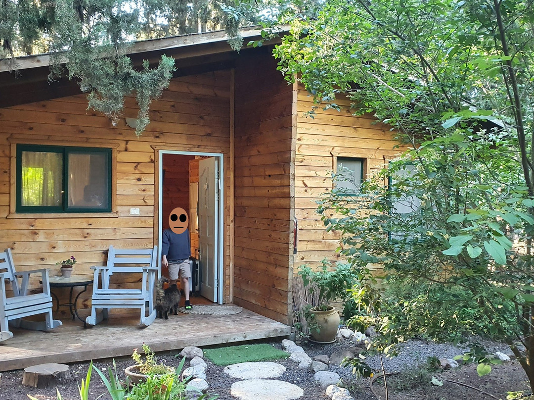 Aley Galil - wooden cabins in the forest主图