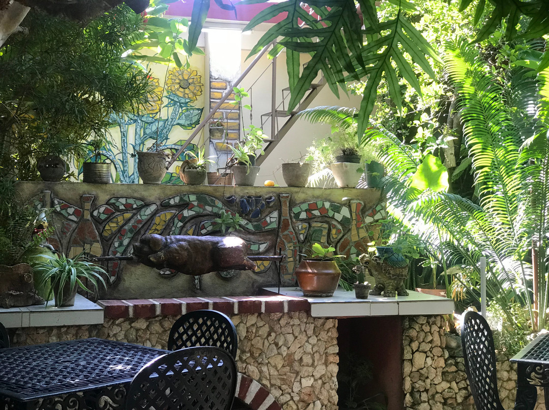 Hostal La Ceiba主图