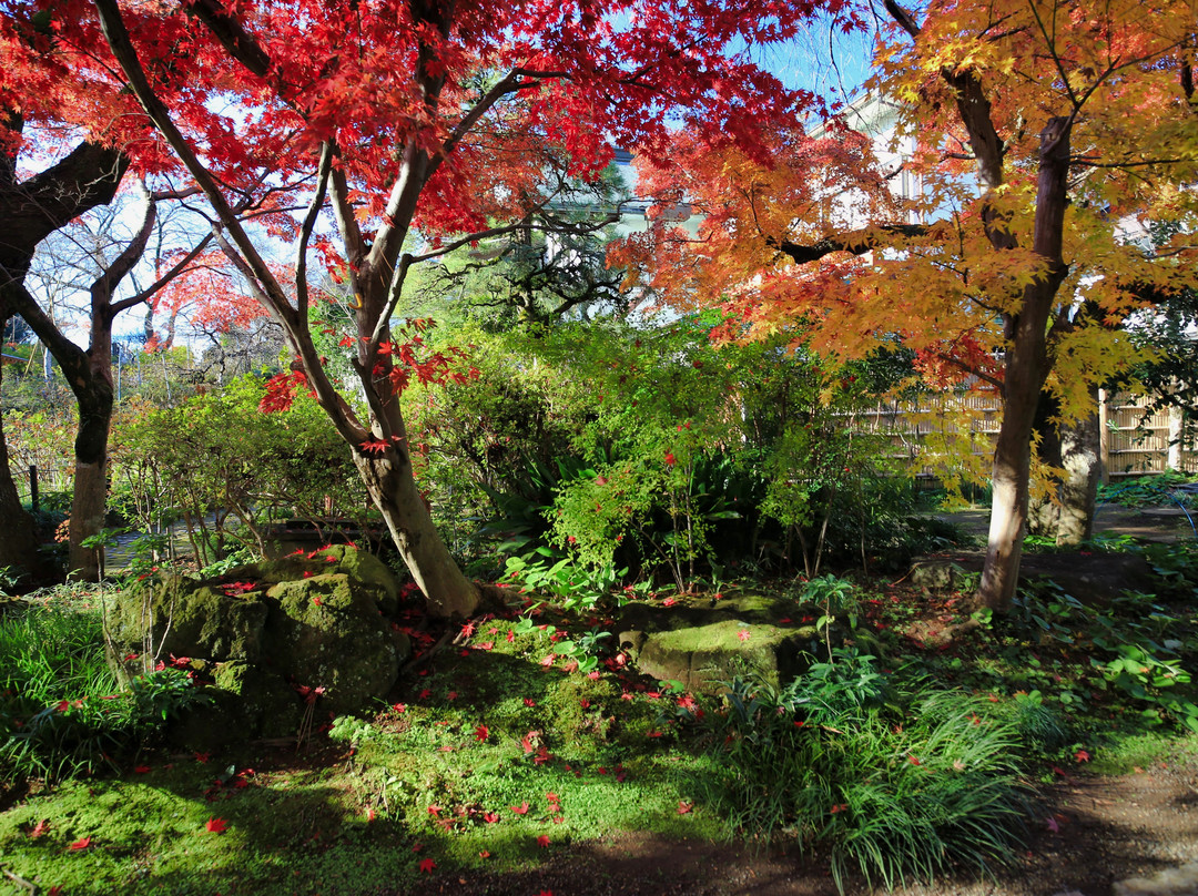 Hondo-ji Temple-松户市必去景点