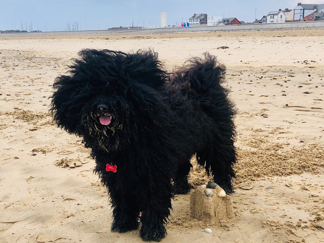 Seaton Carew Beach景点图片