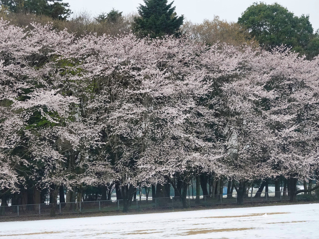 Higashifukida Temman-sha-八千代町必去景点