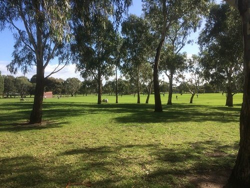 Elsternwick Park South景点图片