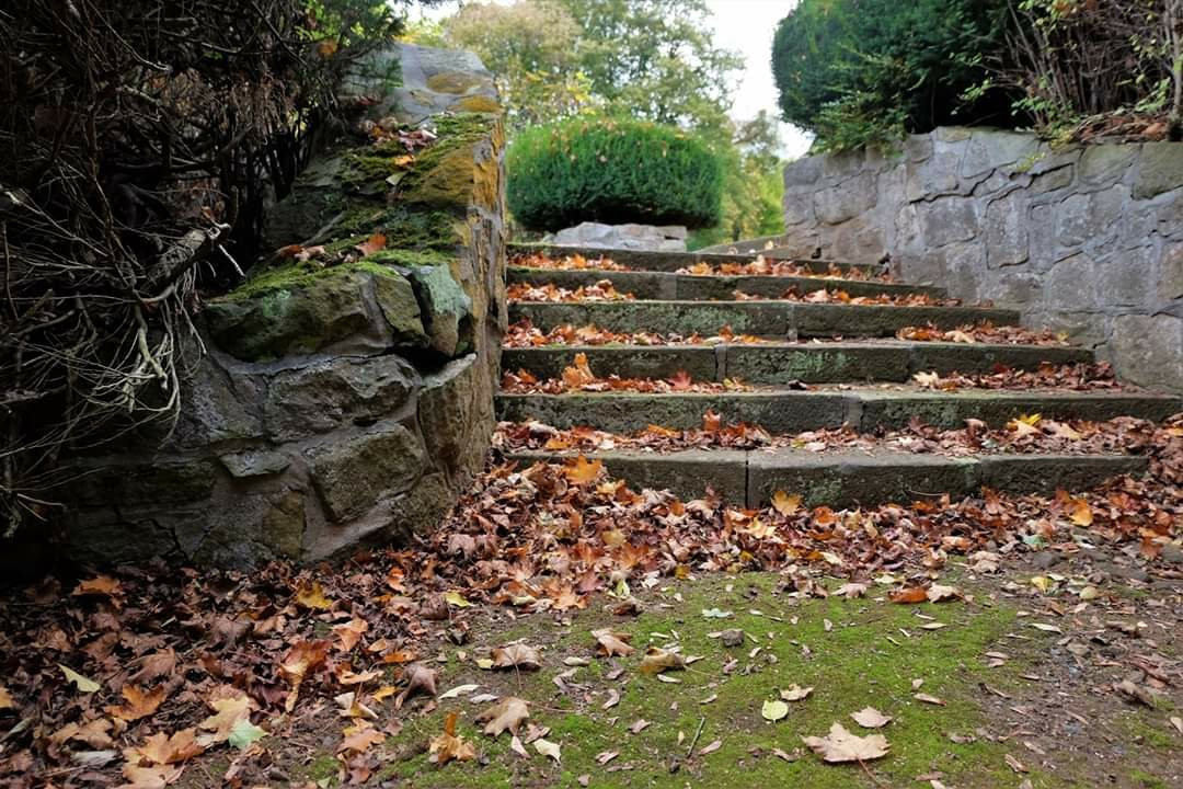 Kurpark-Helmstedt必去景点