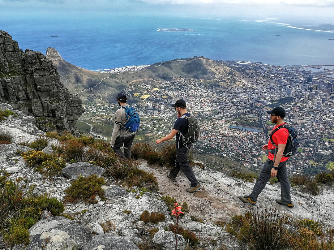 The Cape Town Local-开普敦中心区必去景点