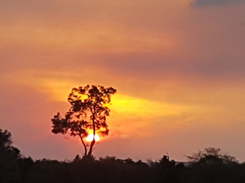 PONGEZI AFRICA SAFARIS-内罗毕必去景点