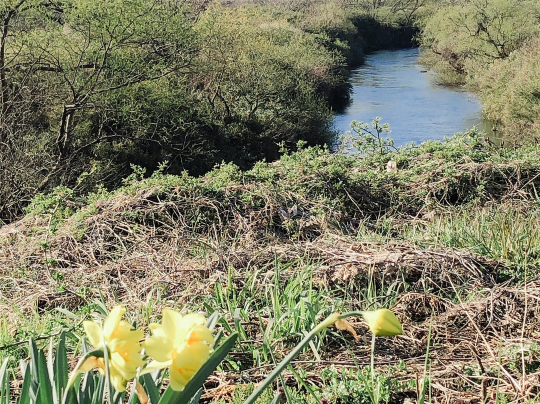 Iji Castle Ruins-栗原市必去景点