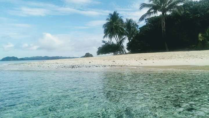 Panama Freediving景点图片