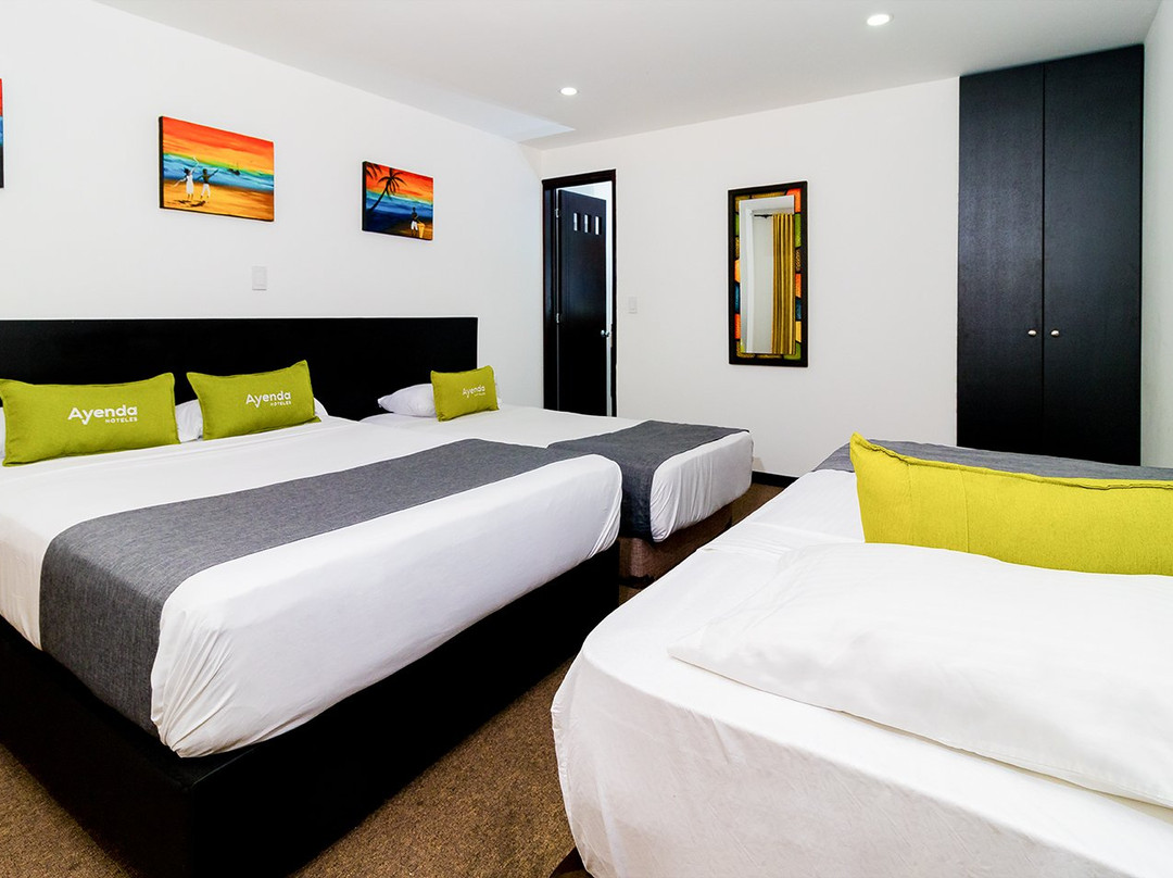 Ayenda 1063 Golden主图