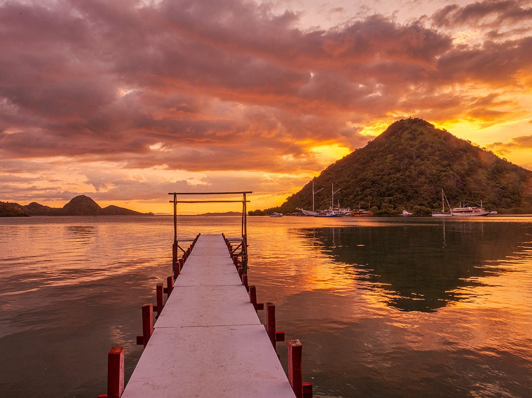 Bajo Dive Resort主图