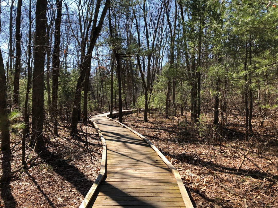 Great Meadows Wildlife Refuge景点图片