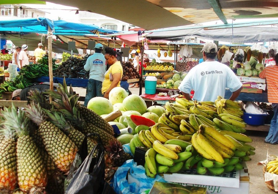 Singing Chef Adventures-乔治城必去景点