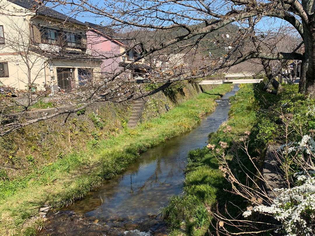 Ichinosaka River Cherry Blossoms景点图片