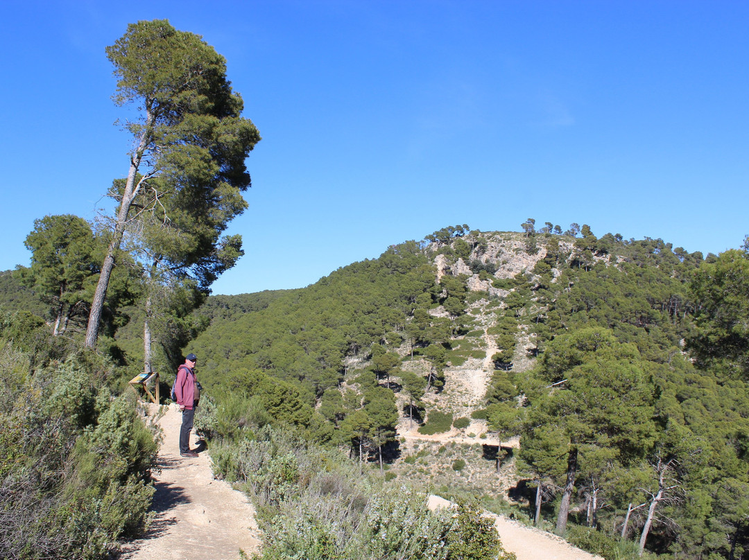 Sierra Espuna Regional Park-Alhama de Murcia必去景点