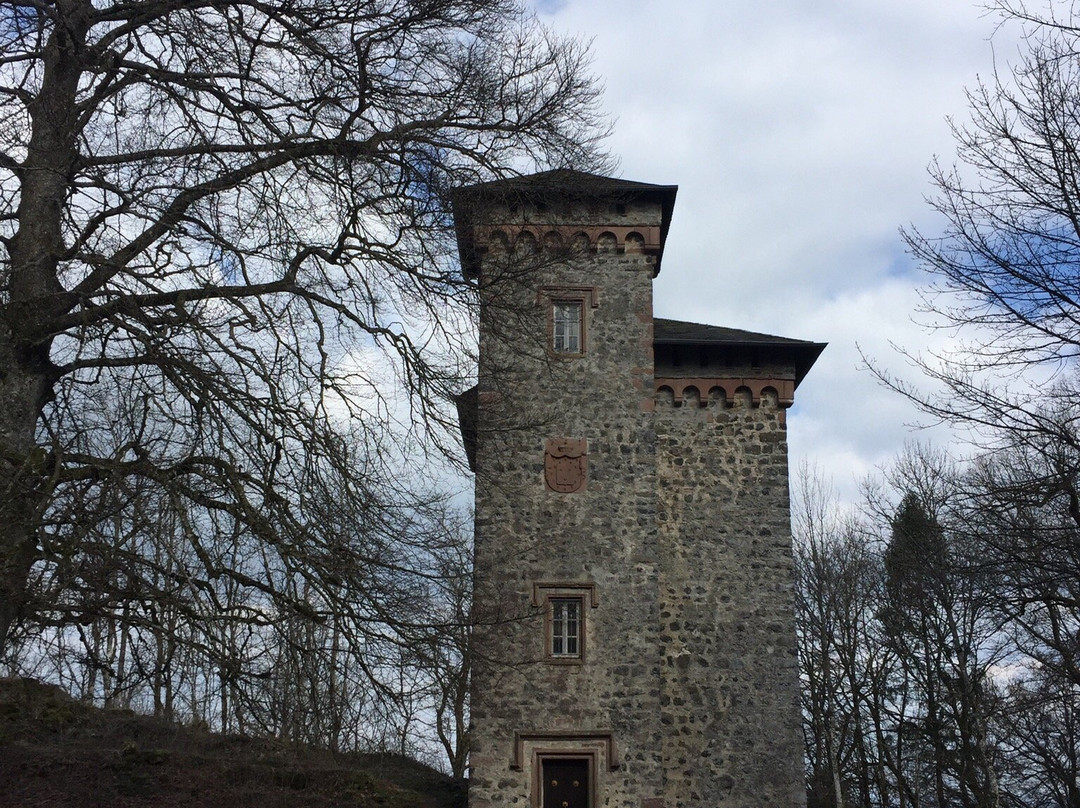 Burgruine Aremberg