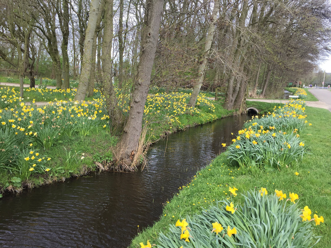 Keukenhof Sideways景点图片