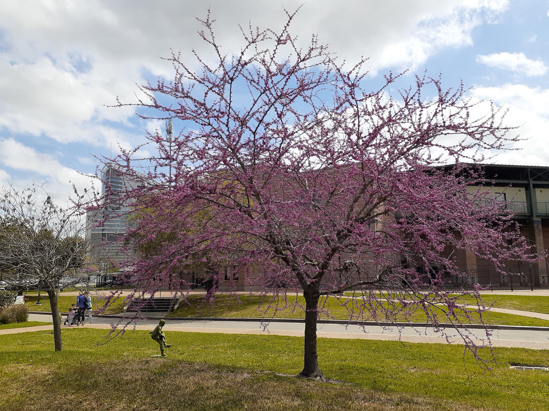 莱斯大学校园-休斯顿必去景点