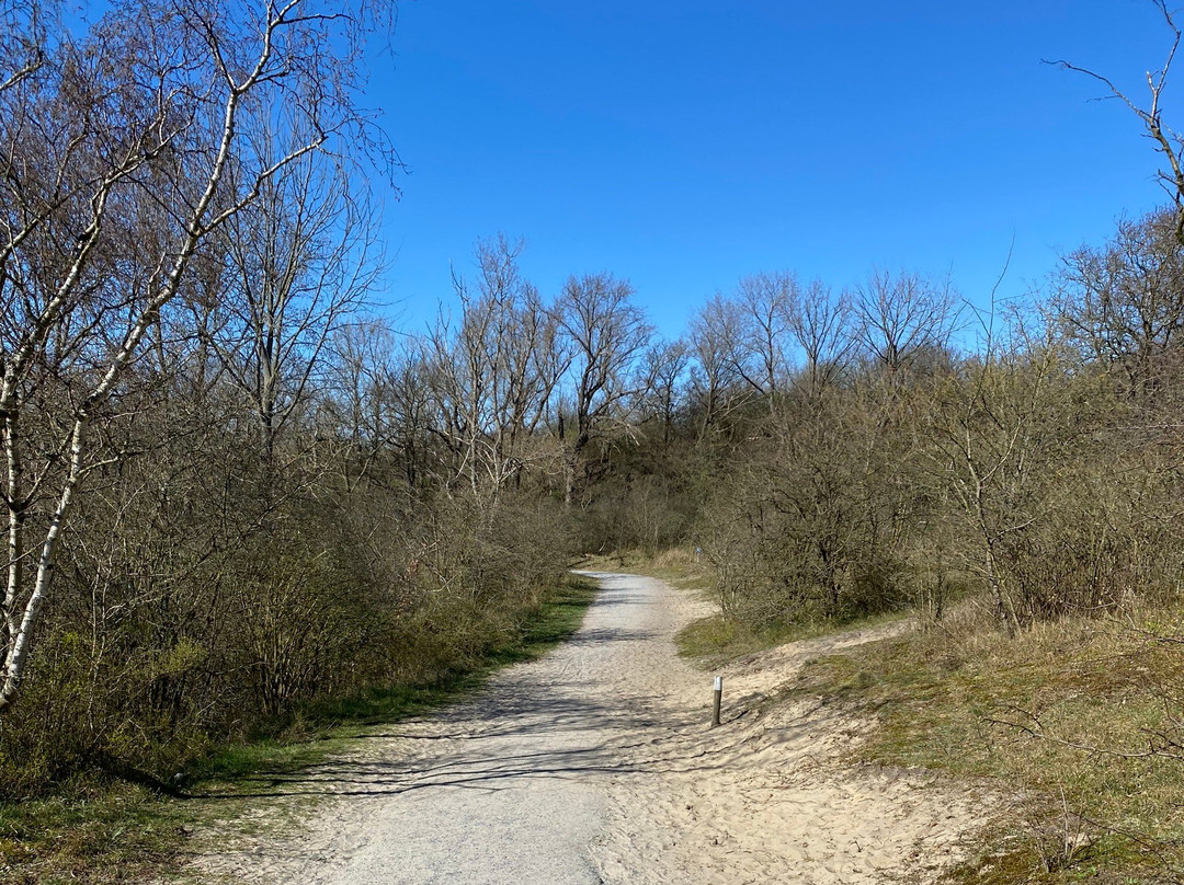 Duinreservaat Meijendel-Kievietsduin-Wassenaar必去景点