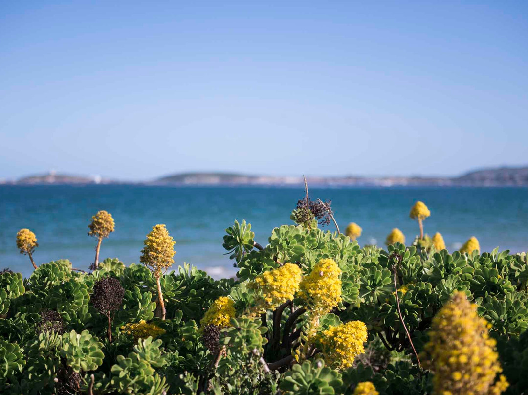 Blue Bay Lodge and Resort主图