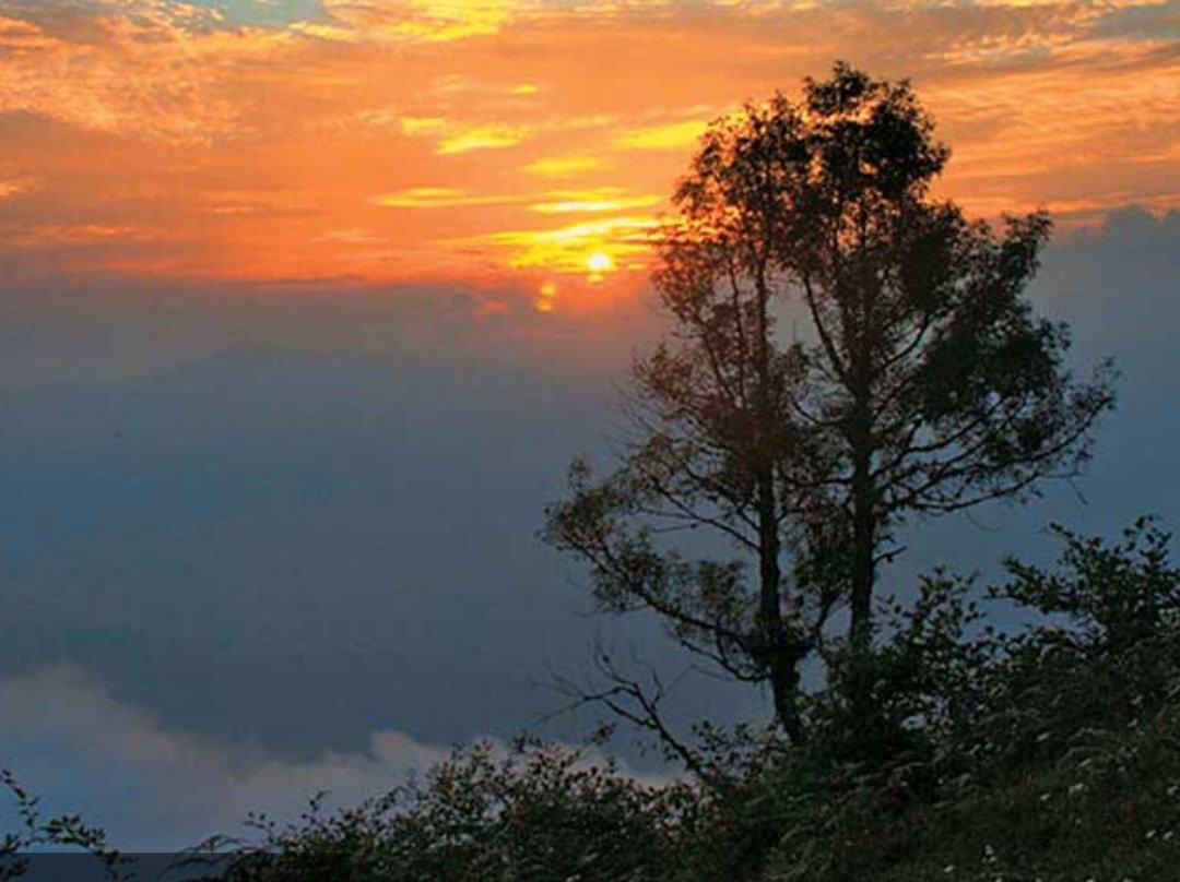 Neora Valley National Park景点图片