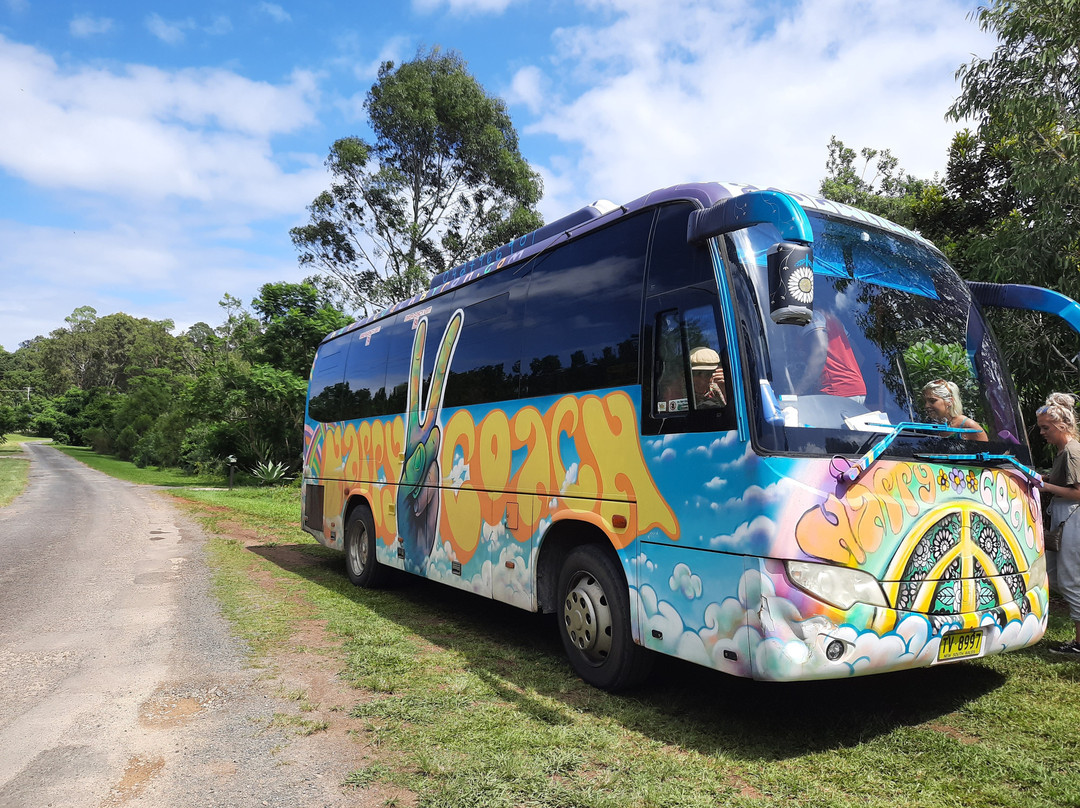 Happy Coach Byron Bay to Nimbin Tours景点图片