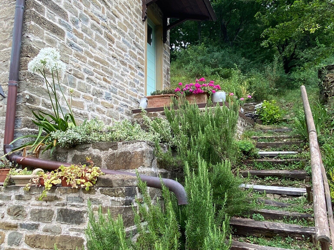 Ca' Paravento B&B e Country House主图