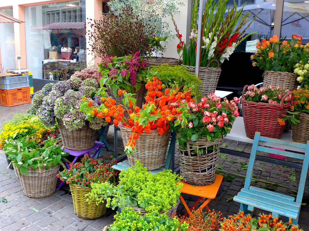 Marktgasse-温特图尔必去景点