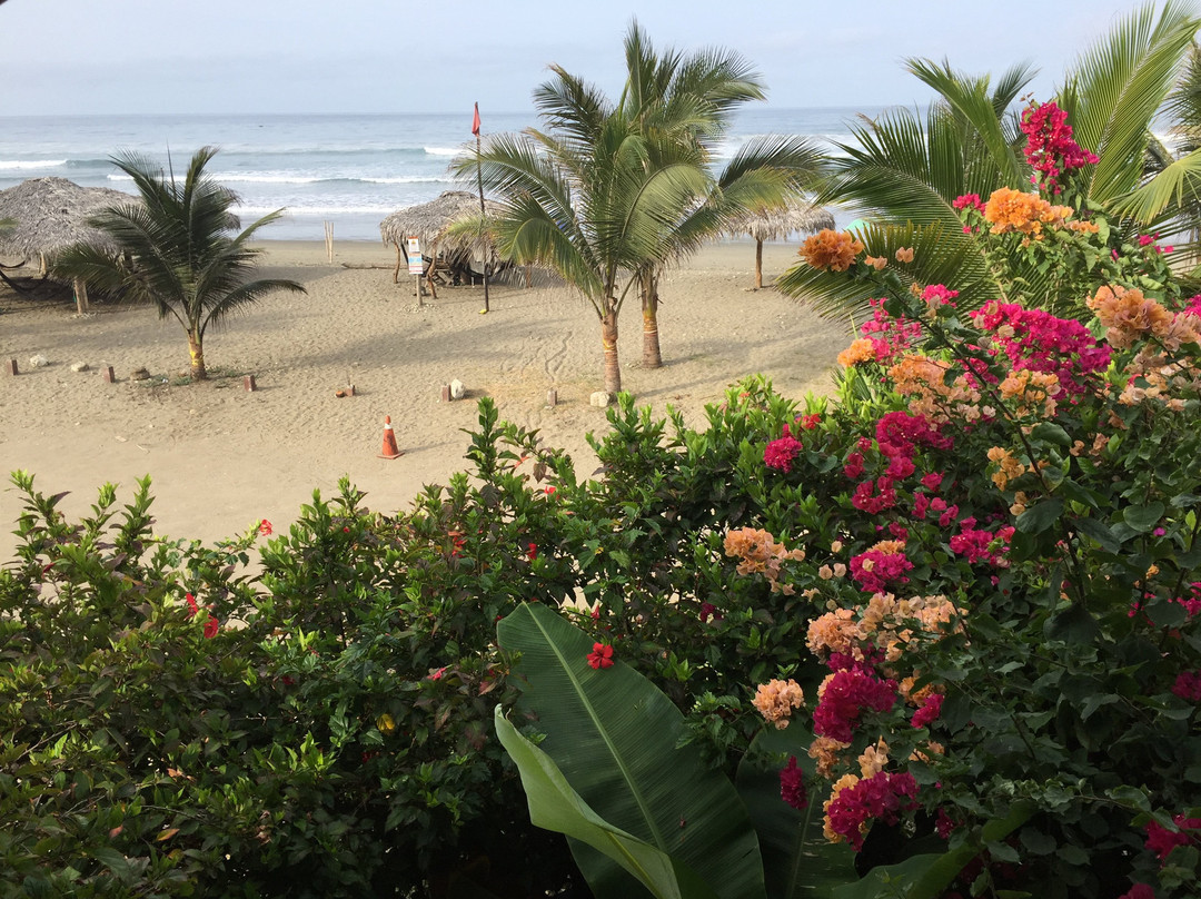 La Casa Hostel主图