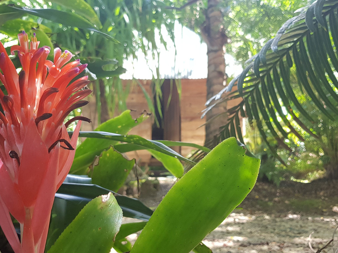 Relais de Ouane Batch主图