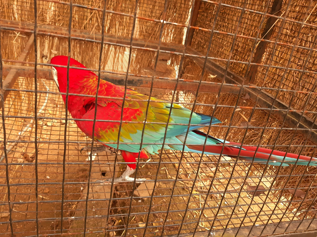 Rawal Lake-伊斯兰堡必去景点