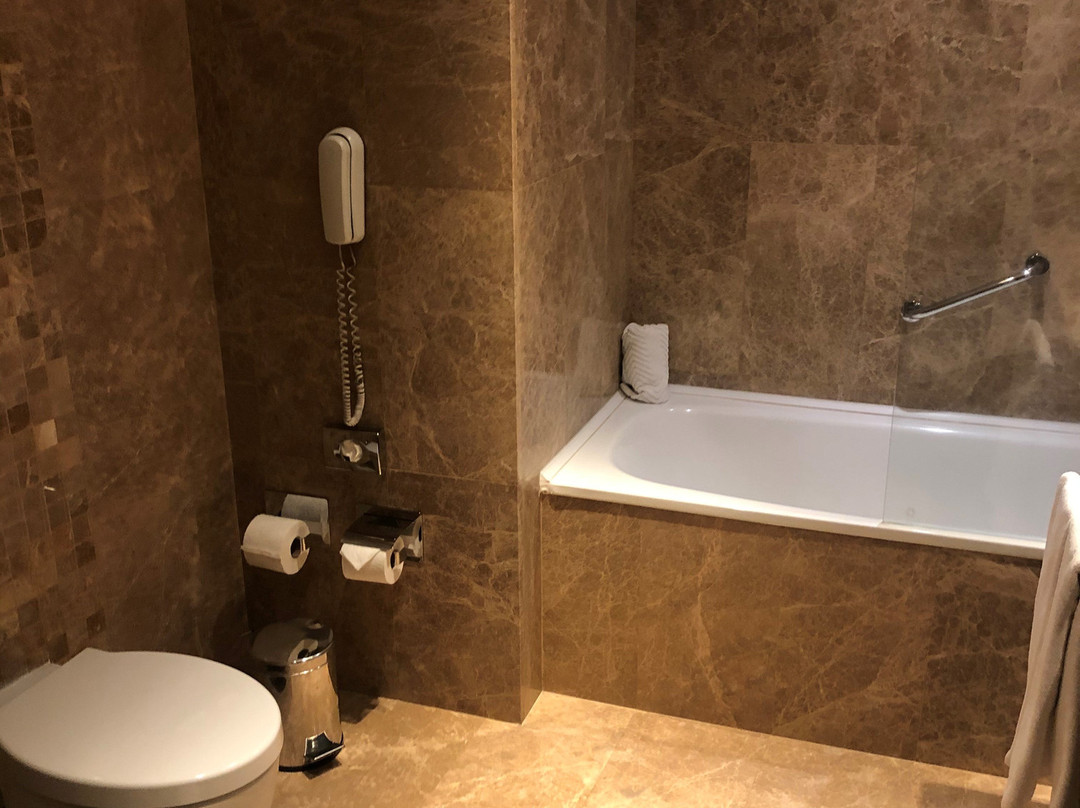 塞利希尔顿酒店主图