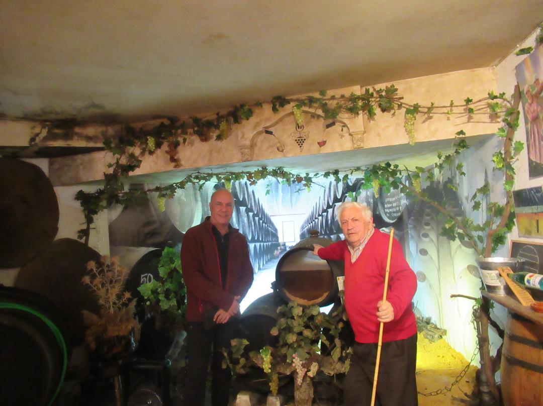 Museo Del Vino Menciano-Dona Mencia必去景点