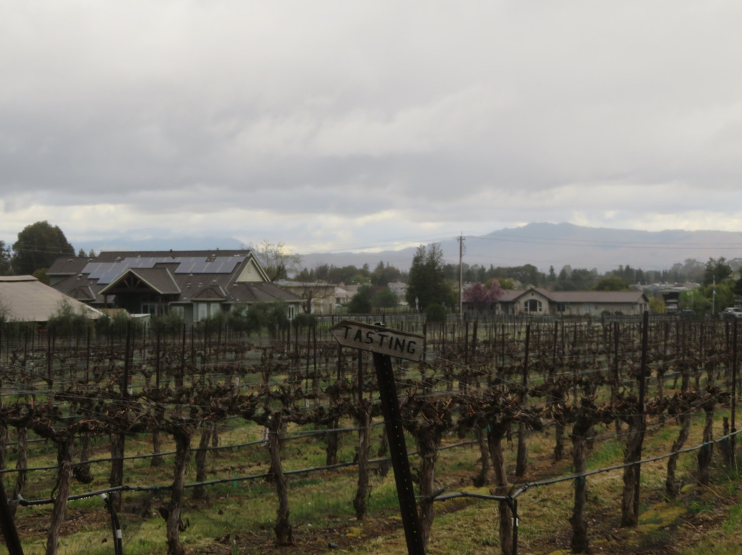Rodrigue Molyneaux Estate Winery & Vineyard景点图片
