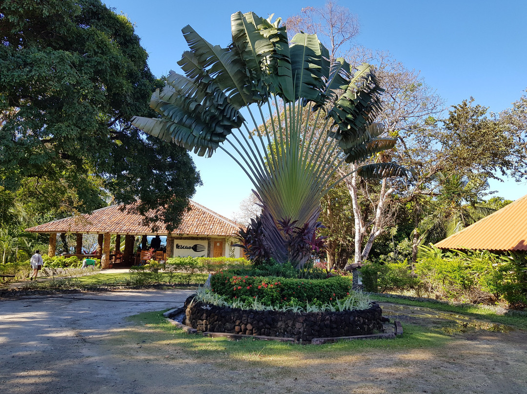 Hotel Santa Catalina Panama主图