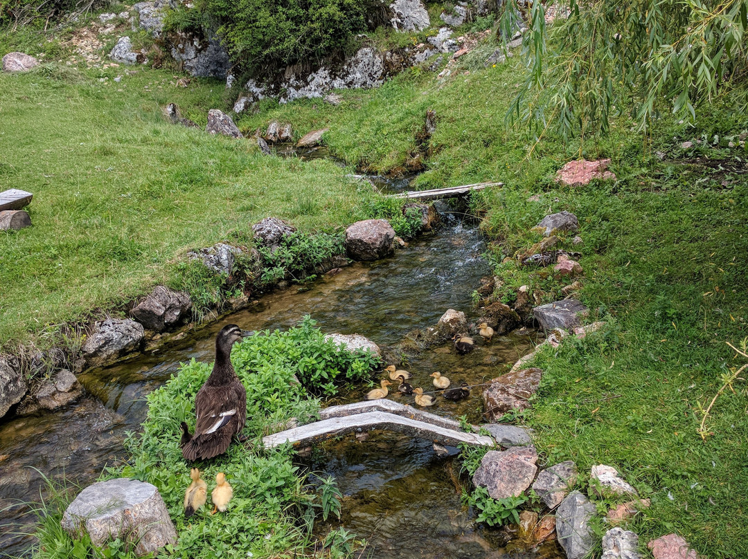 Etno Vodenica Ćirović-Odzak必去景点