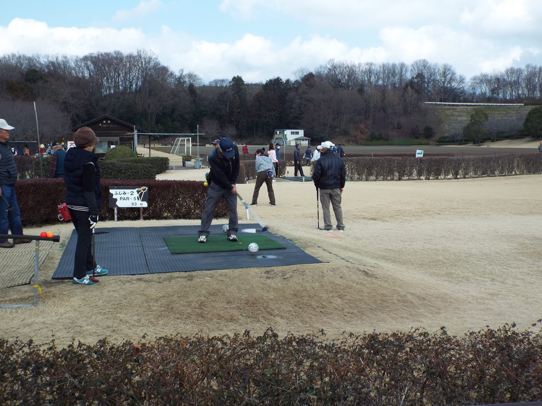 Chuo Undo Park-秦野市必去景点